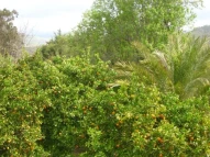 Villa Valencia