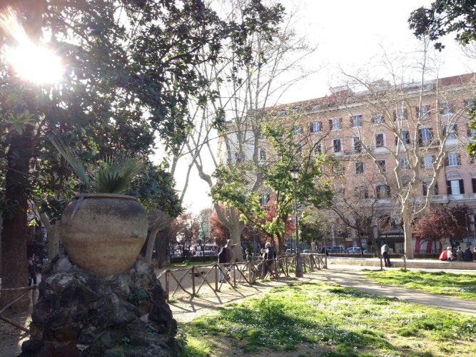 B&B Girasole VIII