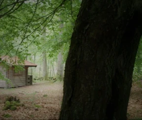 Bokebacken Forest Hotel