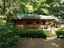 Nelly's Nipa hut