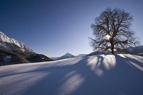 Posthotel Achenkirch am Achensee