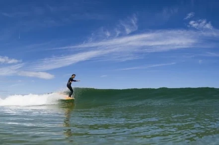 Surf & Coworking