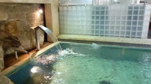 Hotel Ansuina