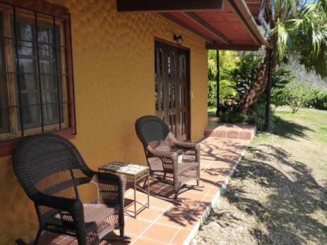 The Golden Frog Inn