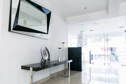 Petit Palace Apart Hotel Suites