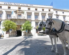 Hotel Jerez Centro Affiliated by Melia