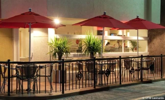 Ibis Chihuahua