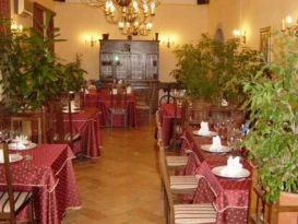 Hotel Bio