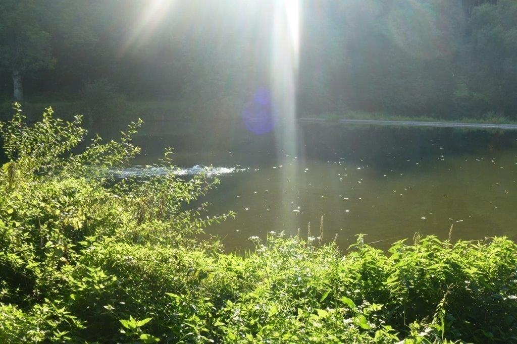 Die Krone am Fluss - Landhotel Sindringen