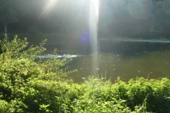 Die Krone am Fluss - Landhotel Sindringen