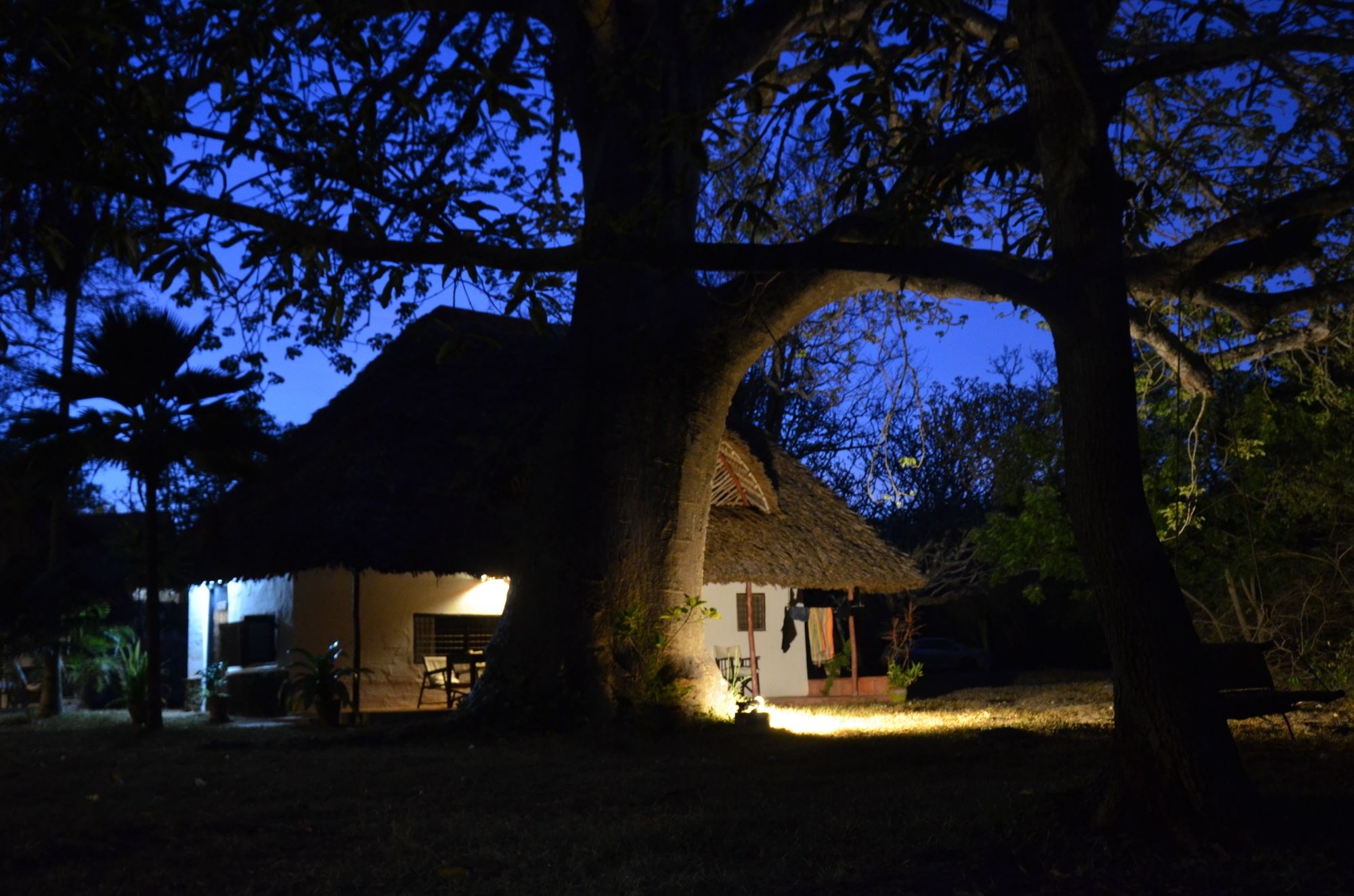 Diani house