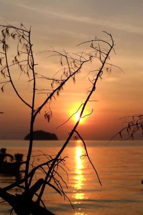 Adang Sea Divers & Eco Lodge