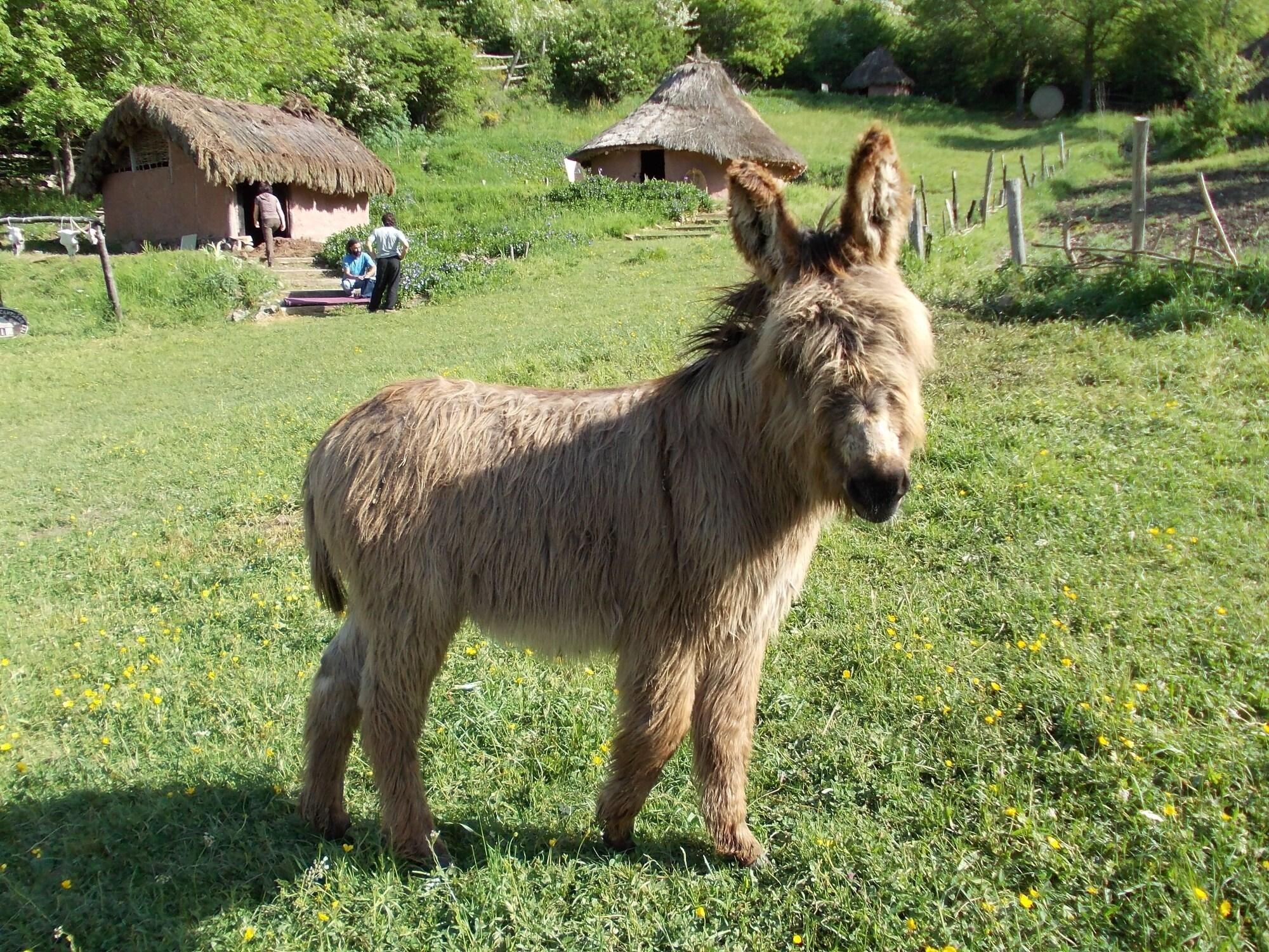 Posada La Sosiega