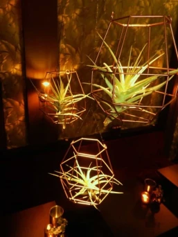 Vinoteca Con Pasión