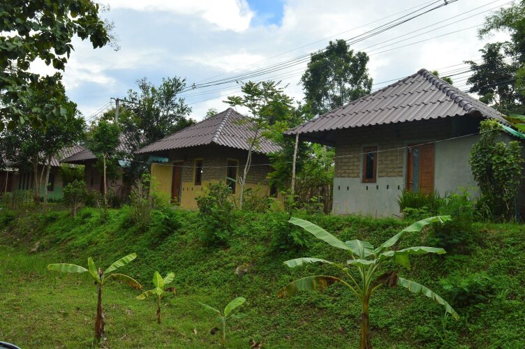 Monkey House