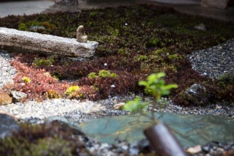 Ryokan Mugen