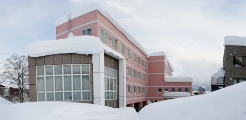 Owashi Lodge - Hostel