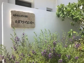 Village Of Uni Parinaka Miyakojima