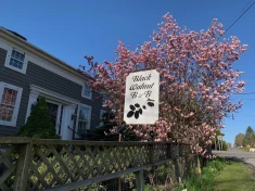 Black Walnut Bed And Breakfast