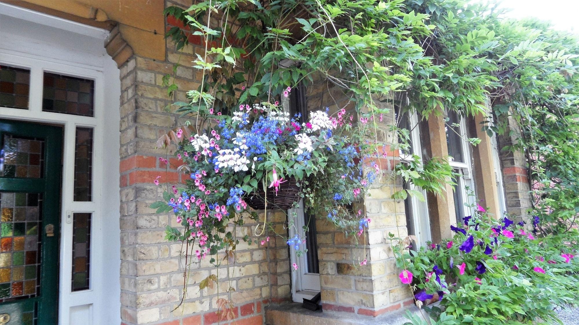 Ivy House B&B