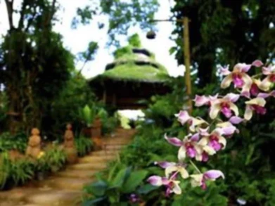 Phu Chaisai Mountain Resort & Spa Chiangrai