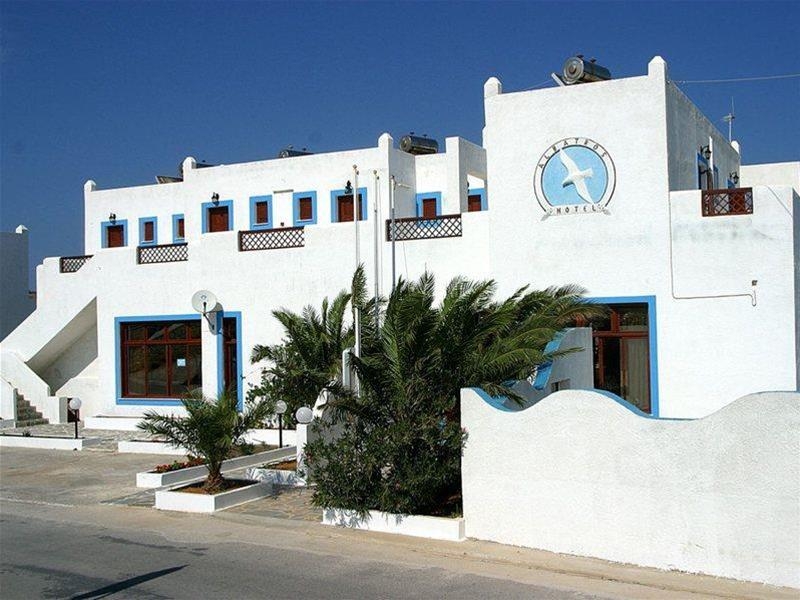 Albatros