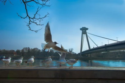Safestay Bratislava