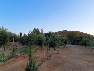 Meson del Vino