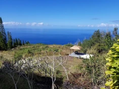Plumeria Grove Cottage