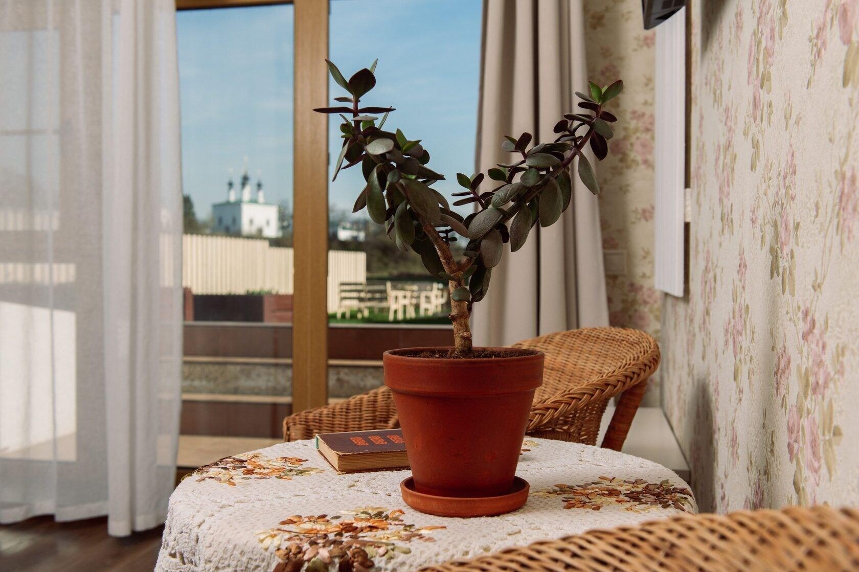 Dacha Beliy Bereg