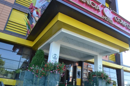 Phoenicia Comfort