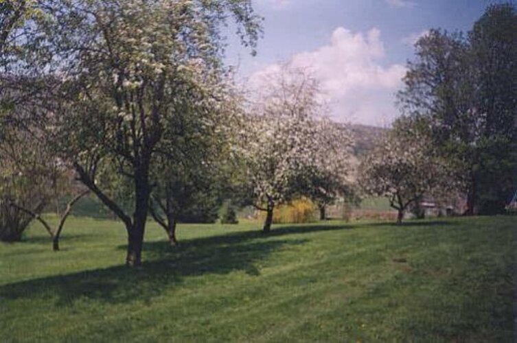 Monier Manor