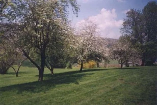 Monier Manor
