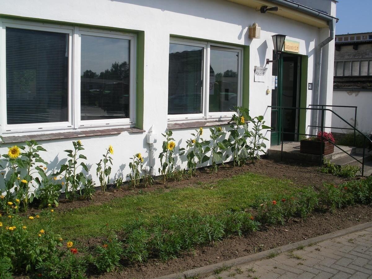 Backpackers Inn
