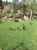 4 Seasons Inn On Fall River