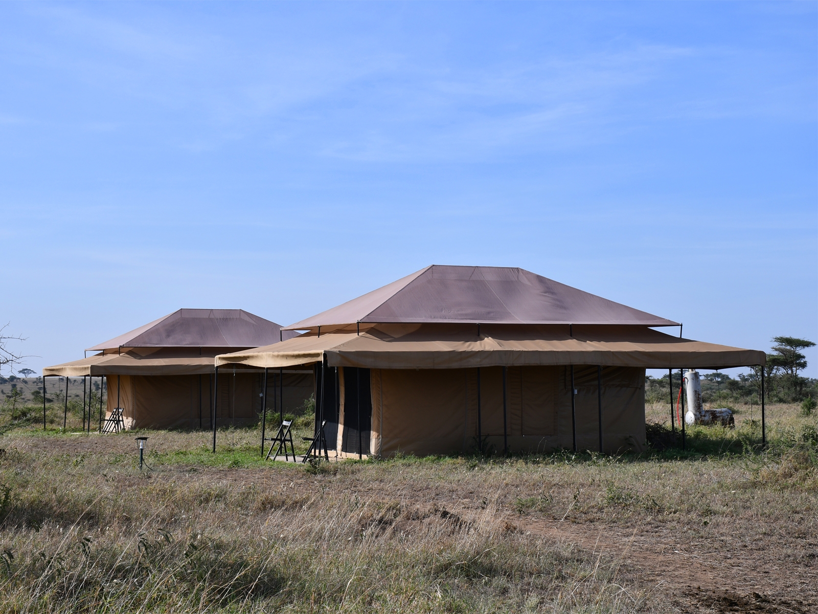 Serengeti Wildebeest Camp