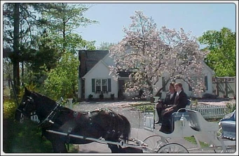 St. Andrews House Bed and Breakfast