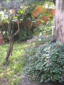 Posada Nora