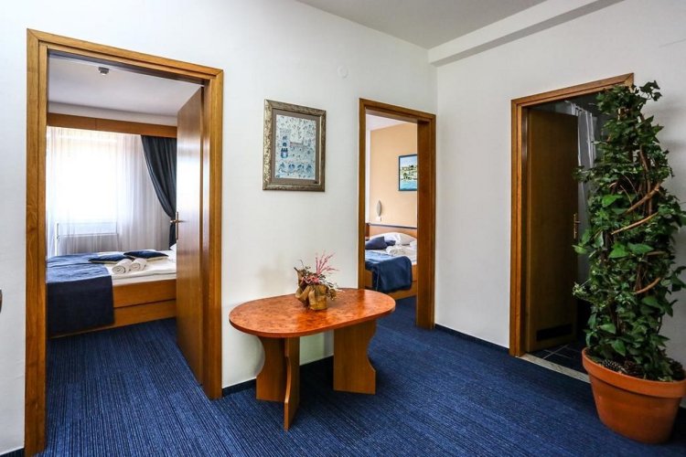 Hotel Drazica