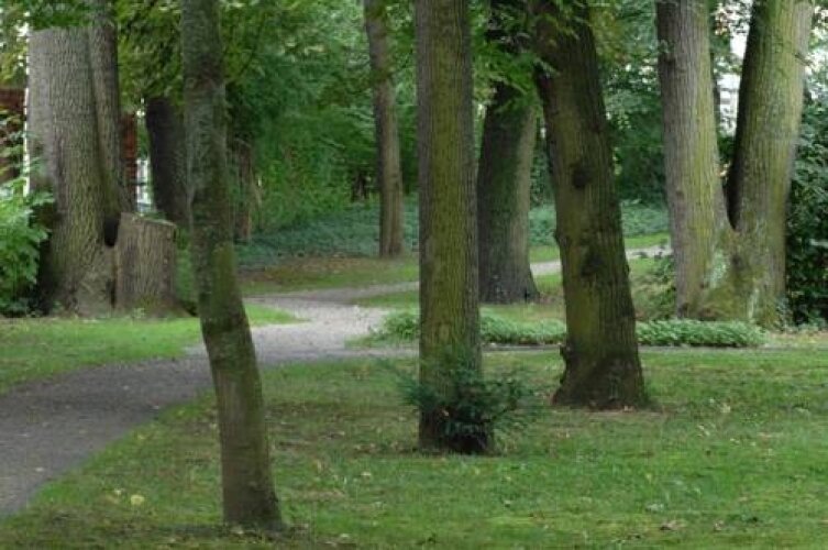 Das Hotel Am Alten Park