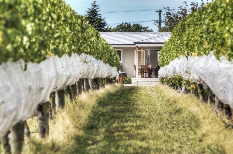 The Farmhouse at Mission Estate