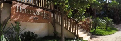 Hurricane Jeri Gardens
