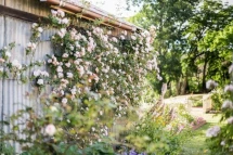Berrima Bakehouse Motel