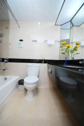 Overseas Chinese Friendship Hotel