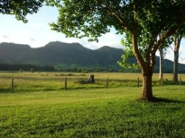 Gloucester Country Lodge Motel