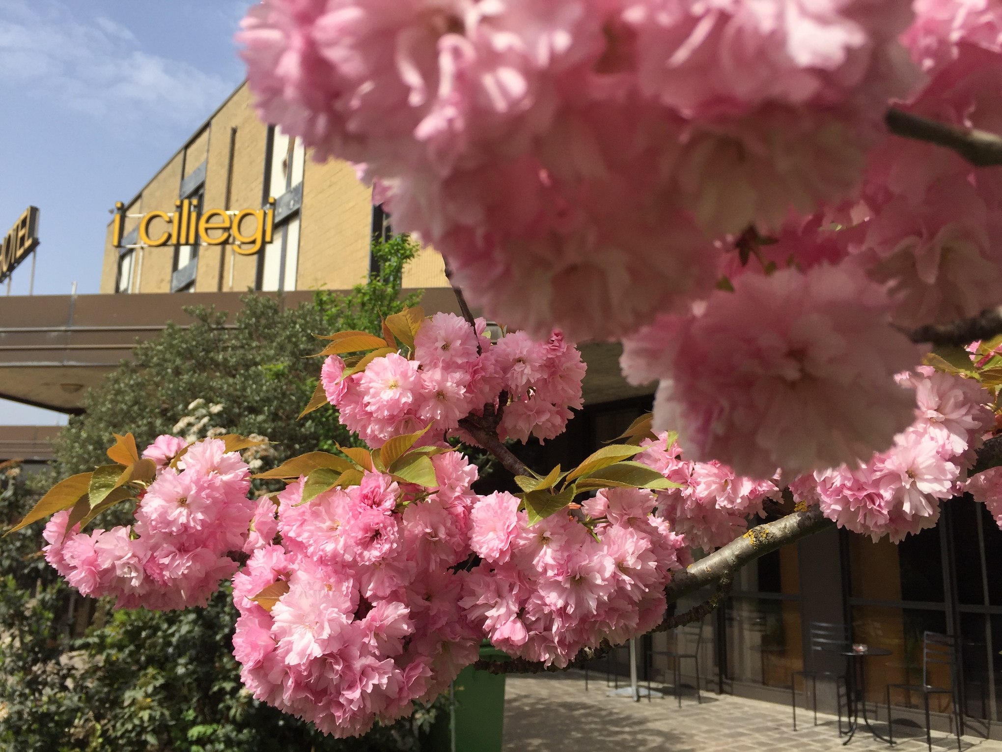 I Ciliegi Hotel