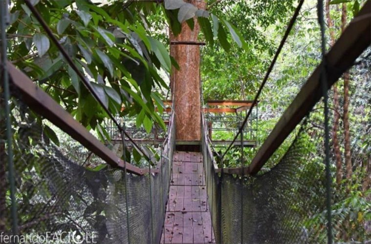 Corcovado Adventures Tent Camp
