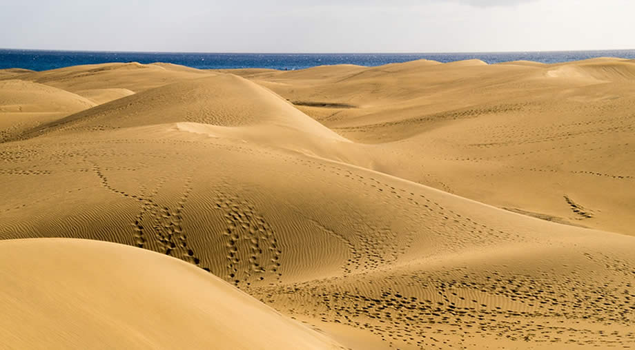 Dunes de sable de Maspalomas