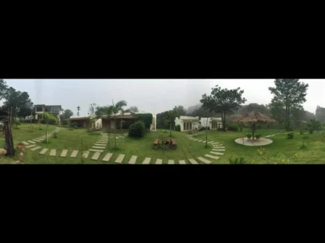 Dandelion Resort