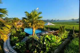 Padi Bali Eco Villas